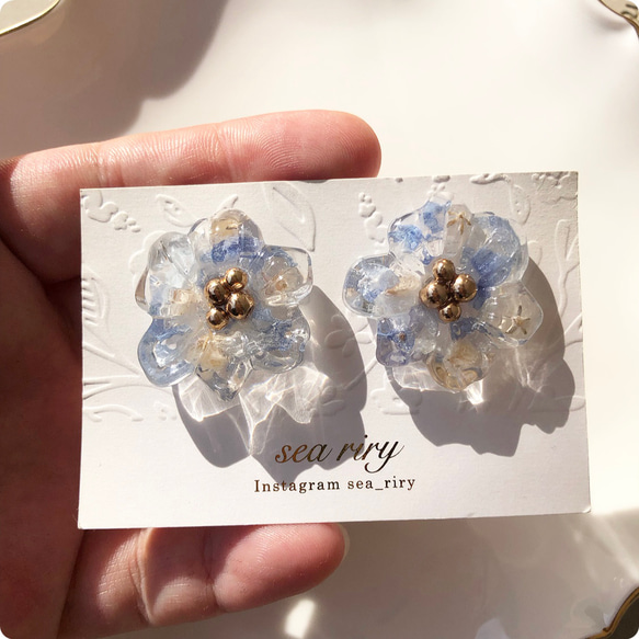 no.605 デルフィニウムとかすみ草のフラワーピアス ドライフラワー 