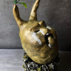 【大傑作】『泣きポディウム グラキリス』②パキポディウム コーデックス 塊根植物 9枚目の画像