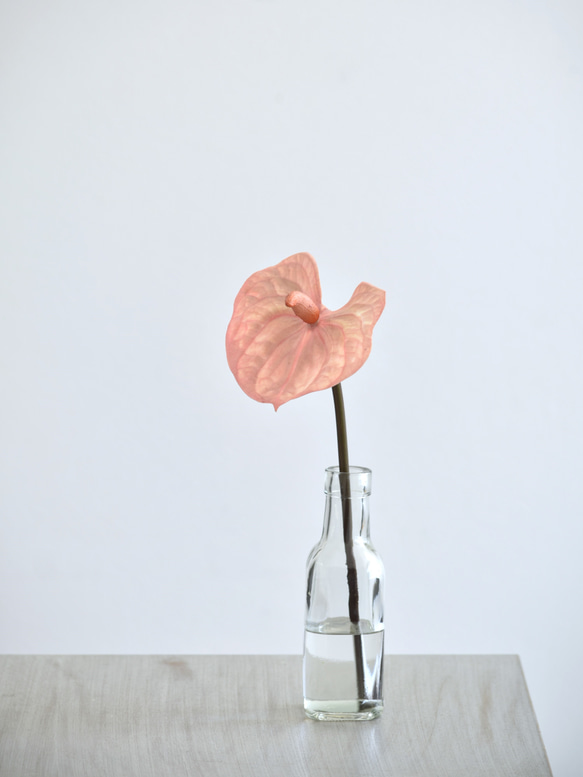 咲き続けるアンスリューム　マジカルウォーター　癒しのフラワーインテリア　アーティフィシャルフラワー 2枚目の画像