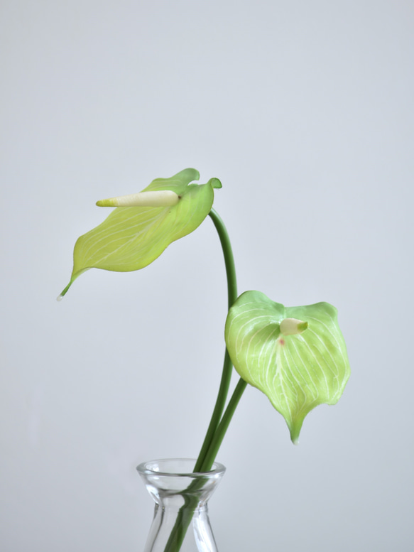 咲き続けるミニアンスリューム(グリーン×２本)　マジカルウォーター　癒しのフラワーインテリア　アーティフィシャルフラワー 4枚目の画像