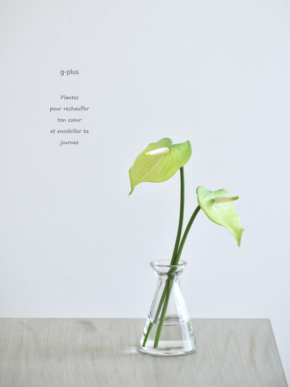 咲き続けるミニアンスリューム(グリーン×２本)　マジカルウォーター　癒しのフラワーインテリア　アーティフィシャルフラワー 1枚目の画像