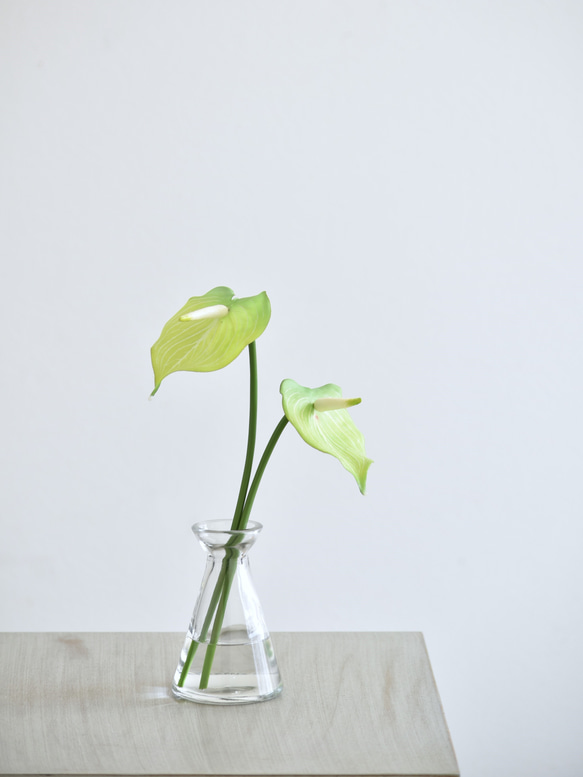 咲き続けるミニアンスリューム(グリーン×２本)　マジカルウォーター　癒しのフラワーインテリア　アーティフィシャルフラワー 2枚目の画像