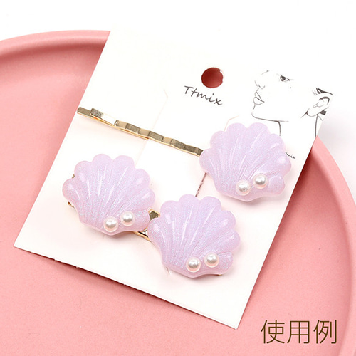 貝殻いろいろ 宝石のような輝きはまるでアクセサリー。約100種のデザインから