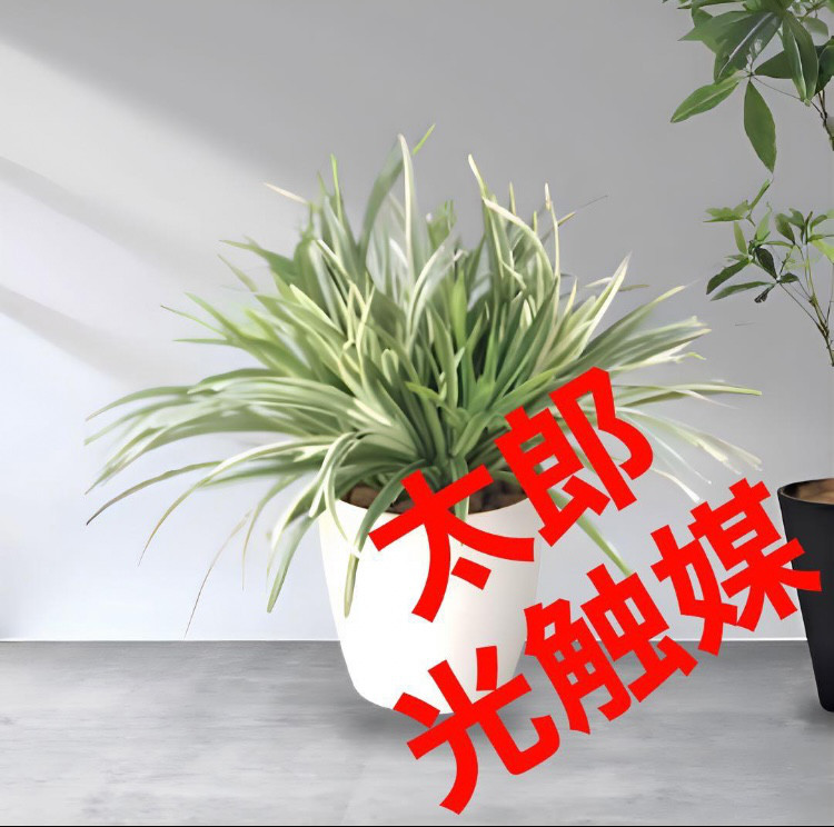 光触媒　人工観葉植物　ウォールグリーン　ドラセナミックス高さ38センチ