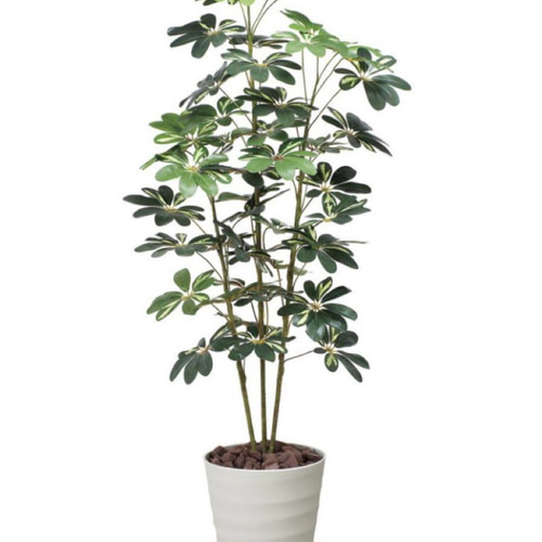 光触媒　人工観葉植物　ウォールグリーン　フェイクグリーン　斑入りカポック1.5 光触媒 人工観葉植物 ウォールグリーン フェイクグリーン