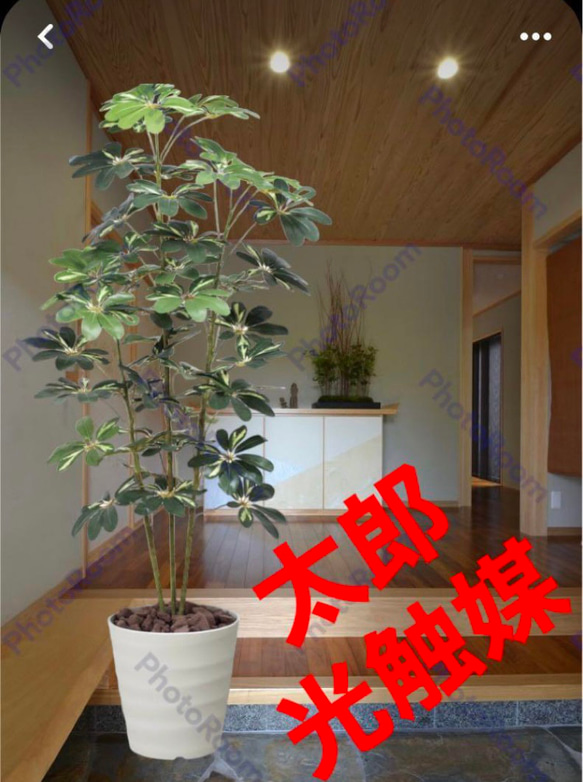 光触媒 人工観葉植物 ウォールグリーン フェイクグリーン 光触媒 人工観葉植物 ウォールグリーン フェイクグリーン