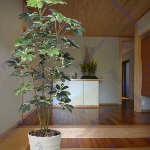 光触媒 人工観葉植物 ウォールグリーン フェイクグリーン 光触媒 人工観葉植物 ウォールグリーン フェイクグリーン