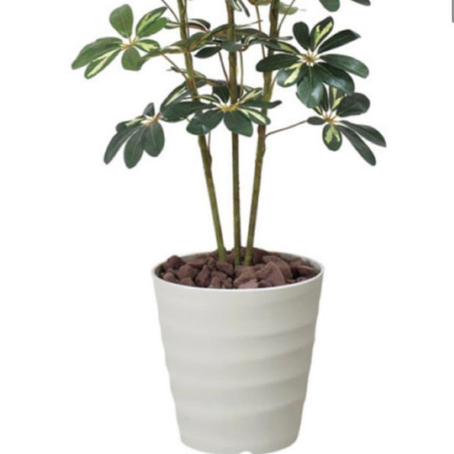 光触媒 人工観葉植物 ウォールグリーン フェイクグリーン 光触媒 人工観葉植物 ウォールグリーン フェイクグリーン