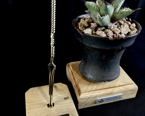 Iron arrow (ソイルスティック) #Agave #サボテン #多肉植物 Iron arrow (ソイルスティック) #Agave #サボテン #多肉植物