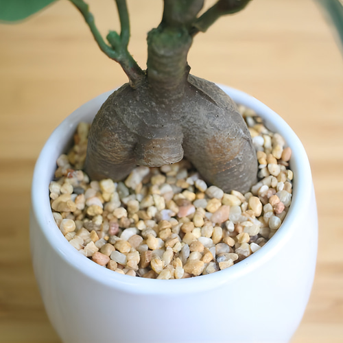 光触媒 人工観葉植物 ウォールグリーン フェイクグリーン 光触媒 人工観葉植物 ウォールグリーン フェイクグリーン