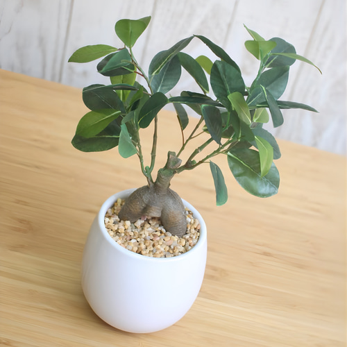 光触媒 人工観葉植物 ウォールグリーン フェイクグリーン 光触媒 人工観葉植物 ウォールグリーン フェイクグリーン