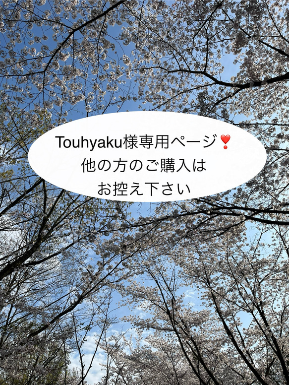 Touhyaku様専用ページです❣️小銭とお札を一緒に入れても自動仕分けされる、お財布ショルダー☆ラウンド☆ 1枚目の画像