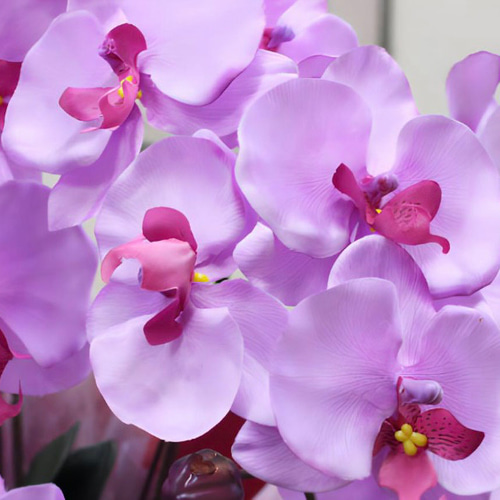 光触媒 人工観葉植物 ウォールグリーン フェイクグリーン 胡蝶蘭