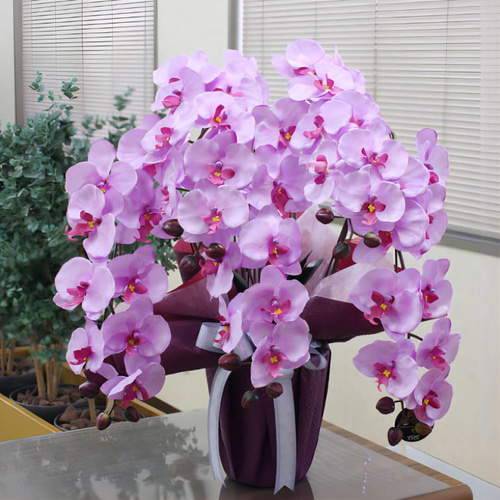 光触媒 人工観葉植物 ウォールグリーン フェイクグリーン 胡蝶蘭