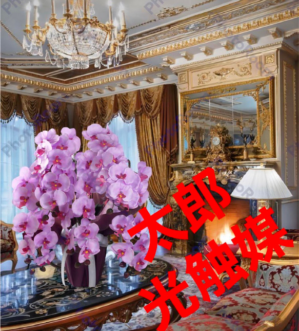 光触媒 人工観葉植物 ウォールグリーン フェイクグリーン 胡蝶蘭