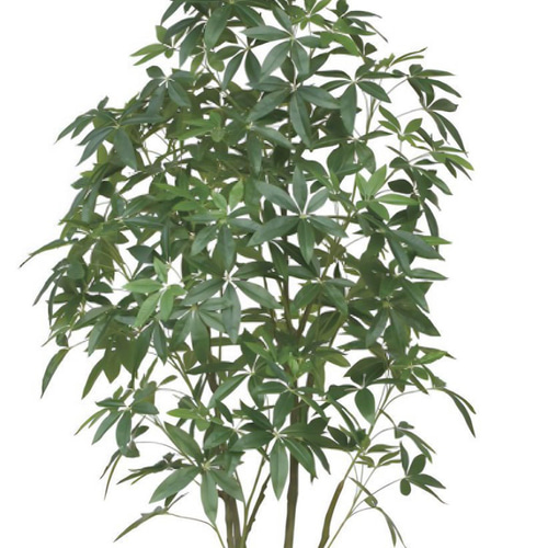 光触媒人工観葉植物フェイクグリーンナチュラルパキラ2.5