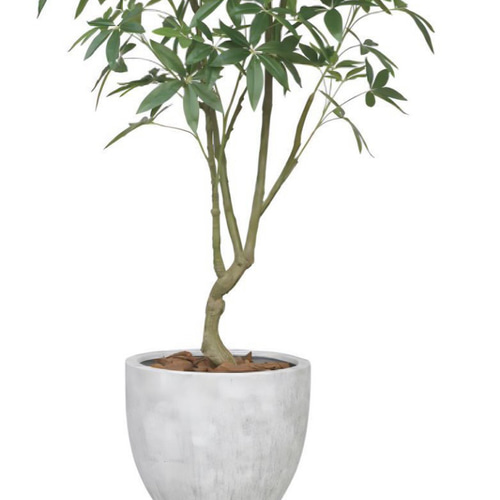 光触媒人工観葉植物フェイクグリーンナチュラルパキラ2.5