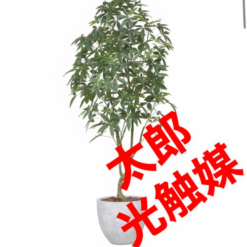 光触媒 人工観葉植物 ウォールグリーン フェイクグリーン ナチュラル 