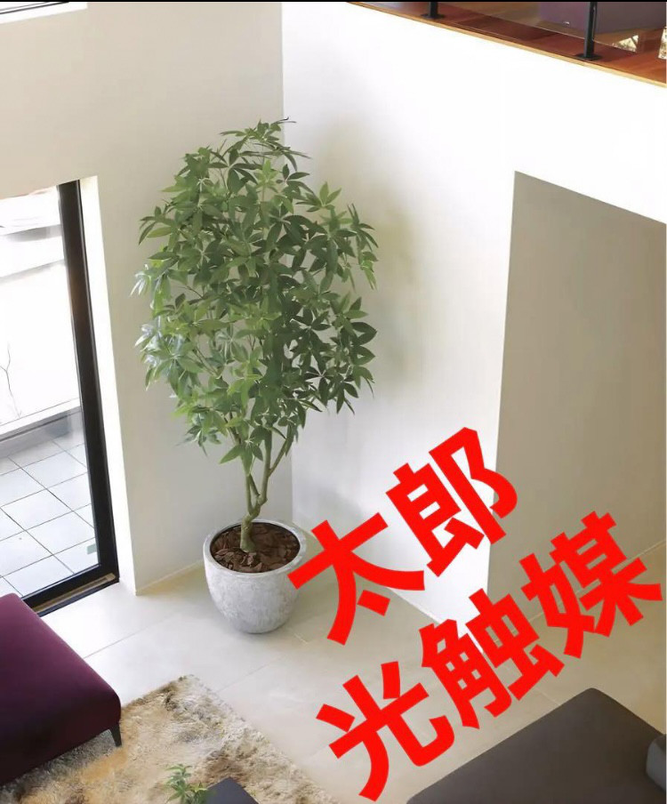 光触媒人工観葉植物ウォールグリーンフェイクグリーンナチュラルパキラ90