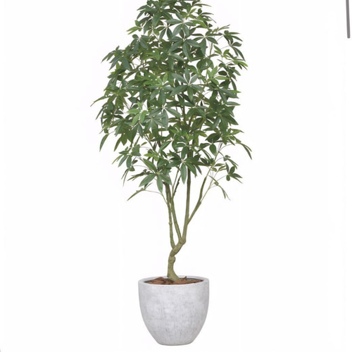 光触媒人工観葉植物ウォールグリーンフェイクグリーンオリーブ250センチ