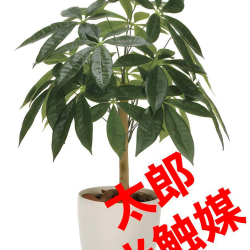 光触媒　人工観葉植物　ウォールグリーン　フェイクグリーン　パキラ72 光触媒 人工観葉植物 ウォールグリーン フェイクグリーン パキラ72