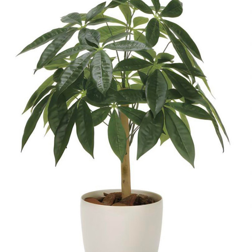 光触媒　人工観葉植物　ウォールグリーン　フェイクグリーン　パキラ72 光触媒 人工観葉植物 ウォールグリーン フェイクグリーン パキラ72