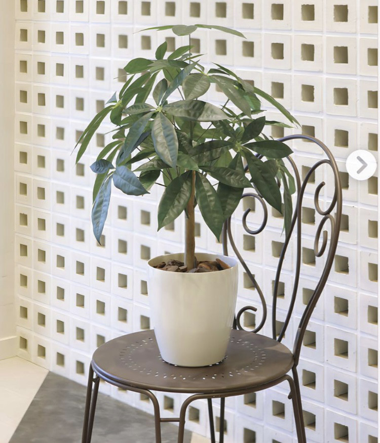 光触媒 人工観葉植物 ウォールグリーン フェイクグリーン カポック斑入