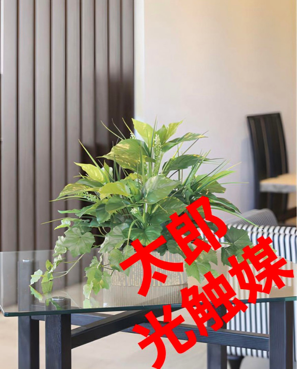 光触媒 人工観葉植物 ウォールグリーン フェイクグリーン ベンジャミン