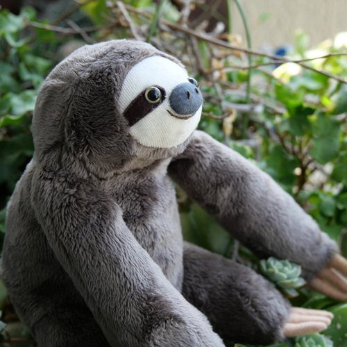 ちょっと大きい色違いのナマケモノ＊スムース(2ヶ月以内発送