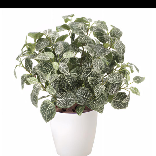 光触媒　人工観葉植物　ウォールグリーン　フェイクグリーン　フィットニアM 光触媒 人工観葉植物 ウォールグリーン フェイクグリーン フィットニア