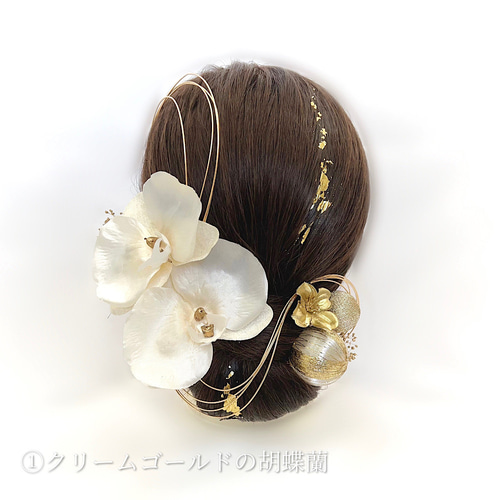 4色から選べる胡蝶蘭の髪飾りI】金箔水引付き◎ 成人式/結婚式