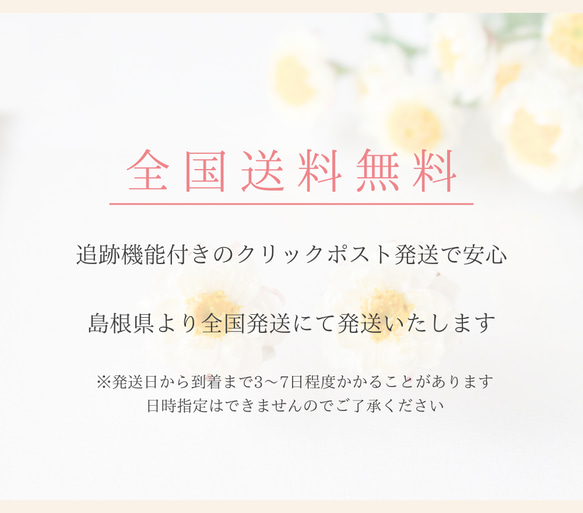 イヤリング　ホワイト　本物のお花　30代　　花かんざし　プレゼント　レディース　オフィス　40代　フラワー　普段使い 13枚目の画像