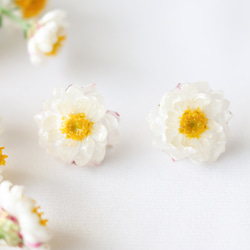 イヤリング　ホワイト　本物のお花30代　母の日　花かんざし　プレゼント　レディース　オフィス　40代　フラワー　普段使い 1枚目の画像
