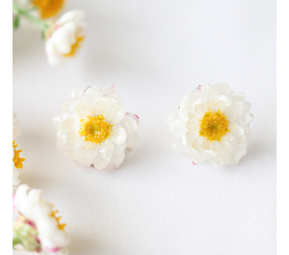 イヤリング　ホワイト　本物のお花30代　母の日　花かんざし　プレゼント　レディース　オフィス　40代　フラワー　普段使い 1枚目の画像