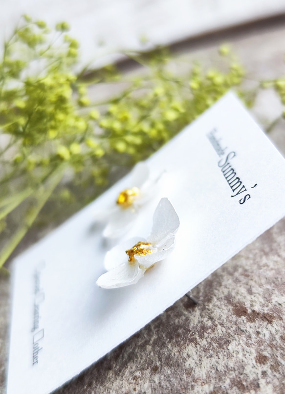 【紫陽花ハンドメイド2024】本物の紫陽花ピアス（ホワイト）本物のお花ならではの自然で可愛いあじさいのピアス 3枚目の画像
