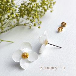 【紫陽花ハンドメイド2024】本物の紫陽花ピアス（ホワイト）本物のお花ならではの自然で可愛いあじさいのピアス 5枚目の画像