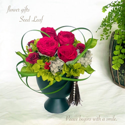 鳥かごアレンジ プリザーブドフラワー seed leaf53 通販 13813447