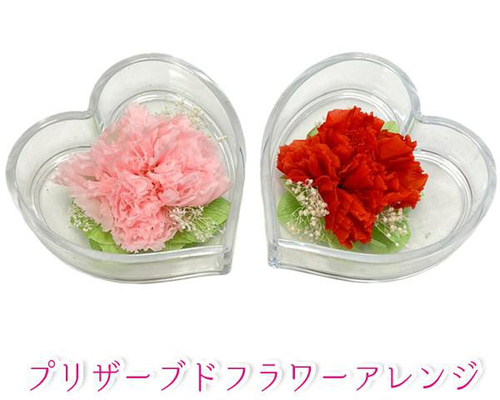 {♦️24Kゴールドコーチィングカーネーションハート型ボックス入り・透明ネース付 ♦️24Kゴールドコーチィングカーネーションハート型ボックス