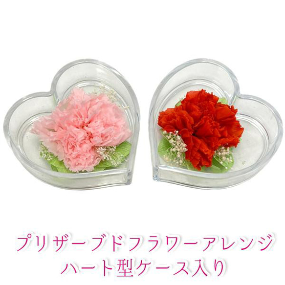 母親節永生花禮盒心形康乃馨2色knj-22014 第1張的照片