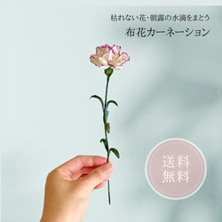 cf5cfb7733f4c57dfbc2a2ed8be8fc