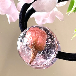和菓子　桜ゼリー　琉球ガラスと桜のドライフラワー入り　ヘアゴム／ポニーフック／ブローチ 1枚目の画像