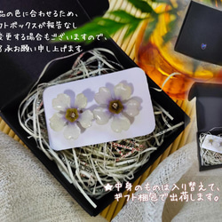 水仙花ピアス ハンドメイド スイセンイヤリング 本物花 アレルギー対策 4枚目の画像