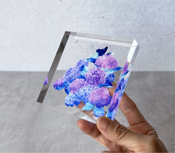 -紫陽花- 花と草木のアクリルブロック（10cm×10cm） 7枚目の画像