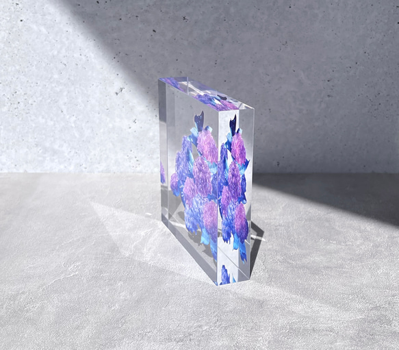 -紫陽花- 花と草木のアクリルブロック（10cm×10cm） 3枚目の画像