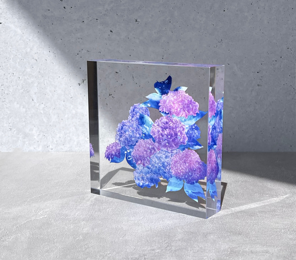 -紫陽花- 花と草木のアクリルブロック（10cm×10cm） 6枚目の画像
