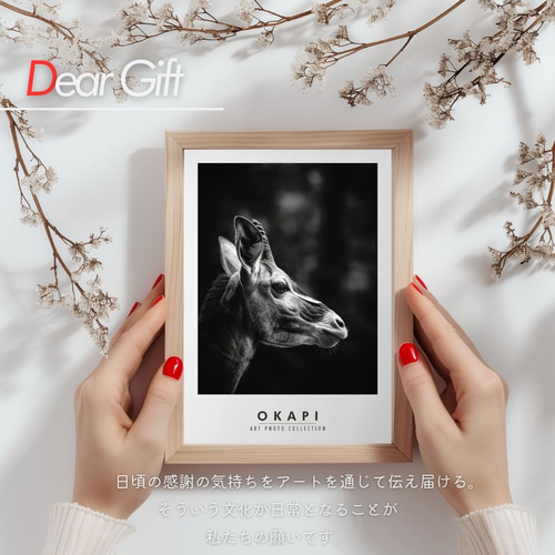 No.0021】オカピ【＃フォト・アニマルズ】 写真・グラフィック