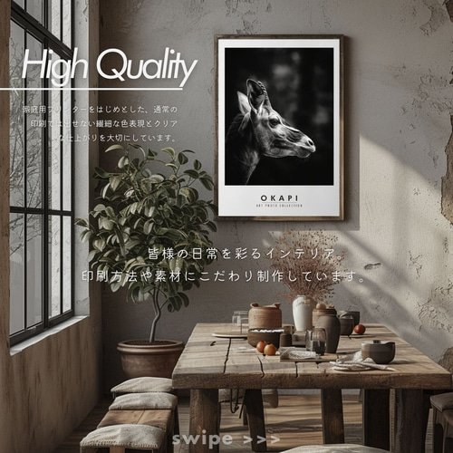 No.0021】オカピ【＃フォト・アニマルズ】 写真・グラフィック