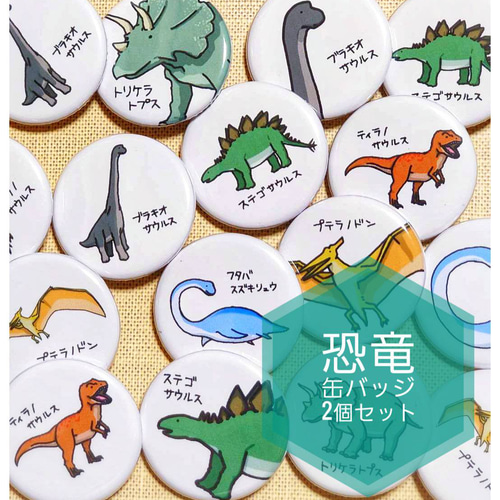 12種類から選べる 恐竜 缶バッジ 2個セット その他雑貨