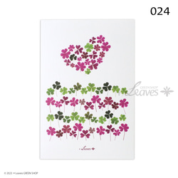 024 カタバミハート 植物ポストカード【日本郵便クリックポスト対応：可/1通40枚まで】 2枚目の画像