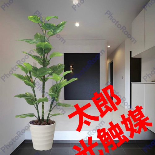 光触媒 人工観葉植物 ウォールグリーン フェイクグリーン 壁掛け